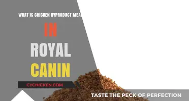 Understanding Chicken Byproduct Meal in Royal Canin Pet Food