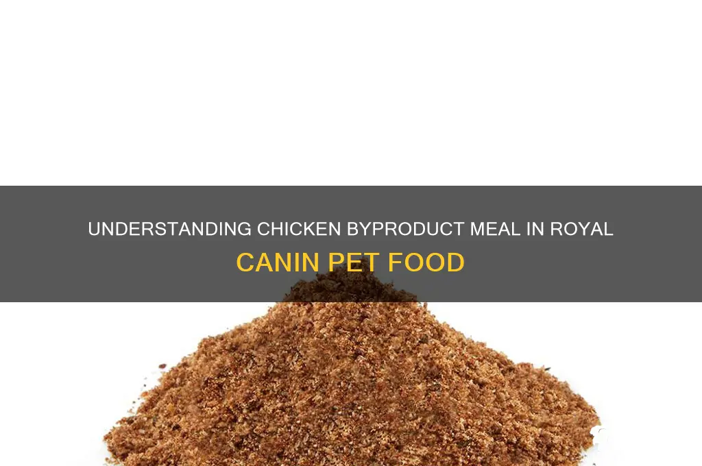 what is chicken byproduct meal in royal canin