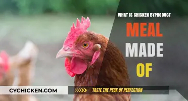 Understanding Chicken Byproduct Meal: Ingredients, Uses, and Nutritional Value