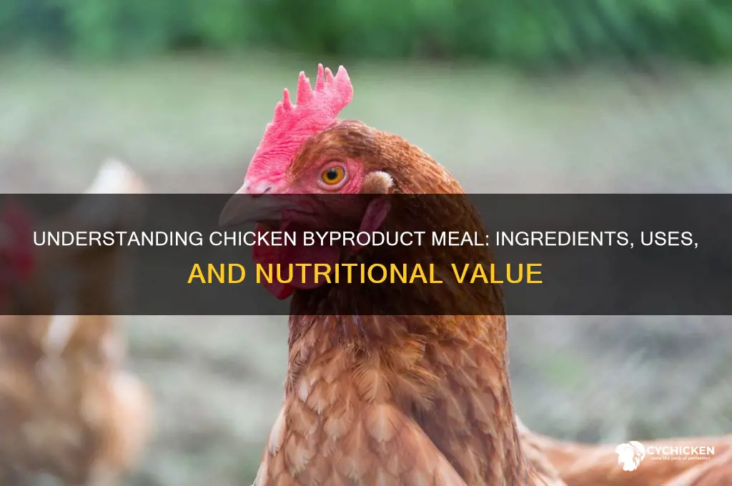 what is chicken byproduct meal made of