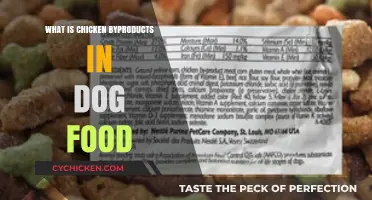 Understanding Chicken Byproducts in Dog Food: Benefits and Concerns