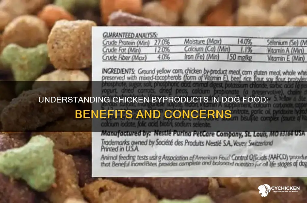 what is chicken byproducts in dog food