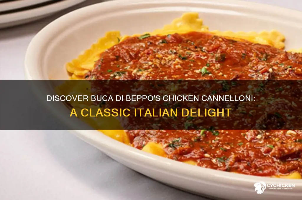 what is chicken cannelloni buca di beppo