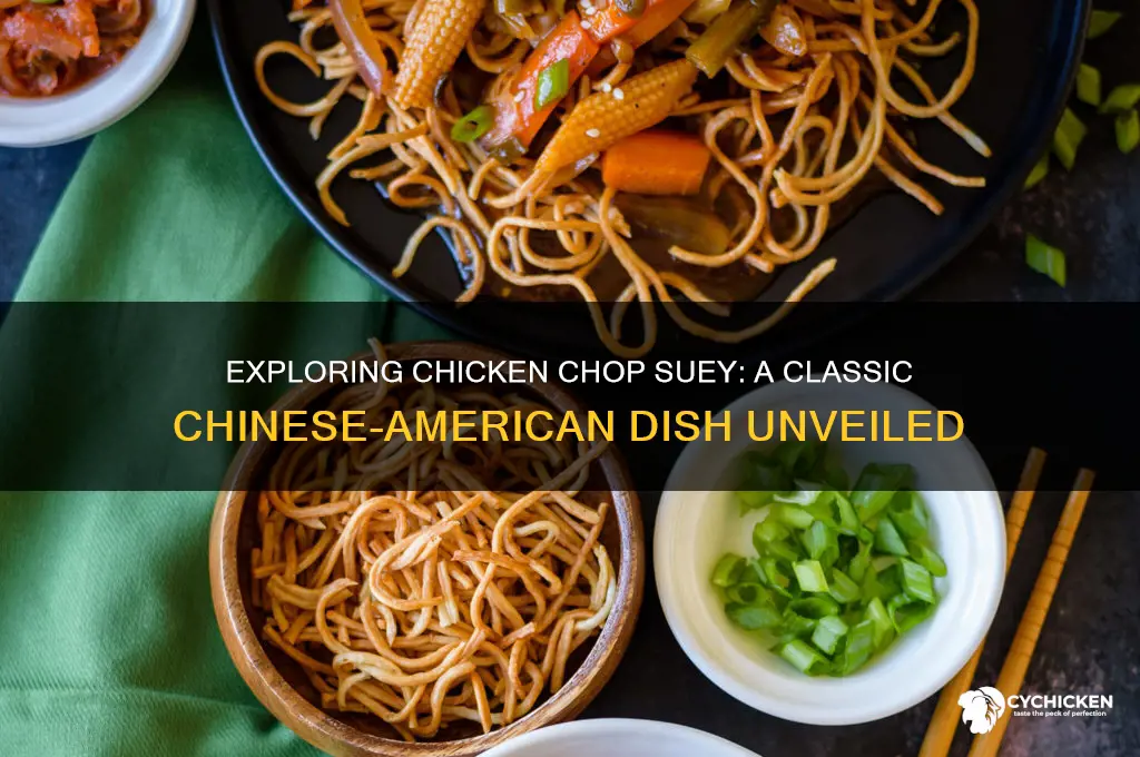 what is chicken chop suey chinese food