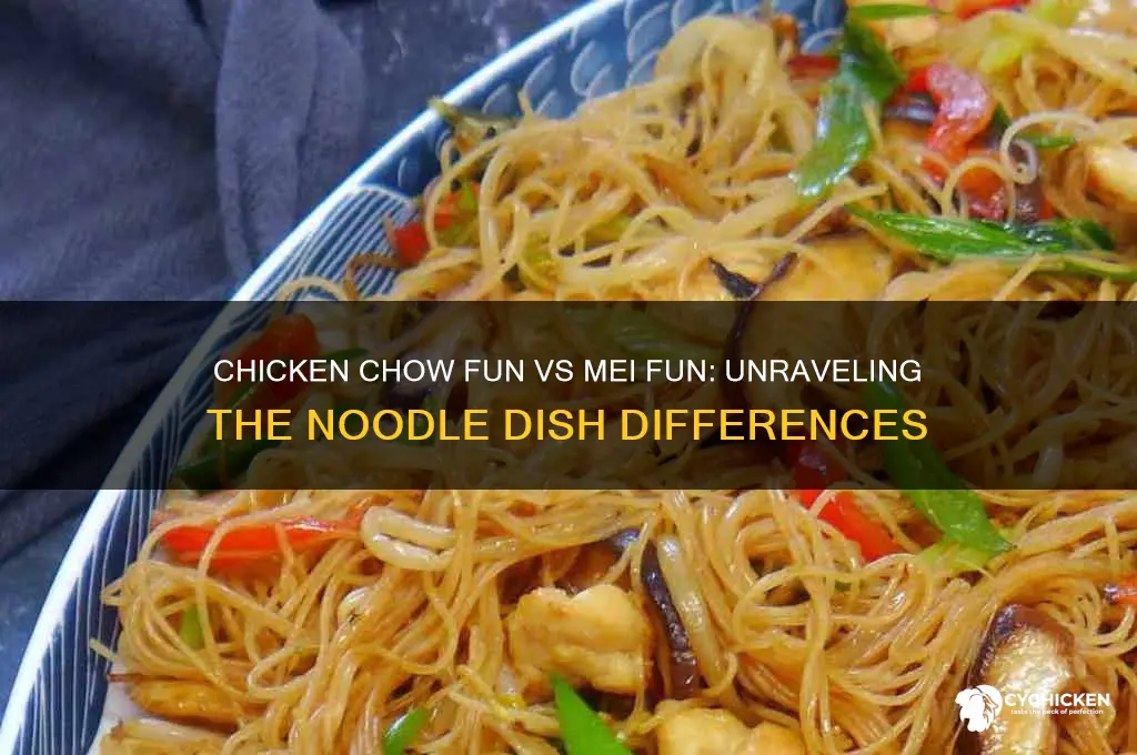 what is chicken chow fun vs mei fun
