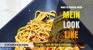 Exploring Chicken Chow Mein: Visual Guide to Its Appearance and Ingredients