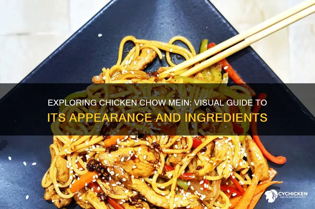 what is chicken chow mein look like