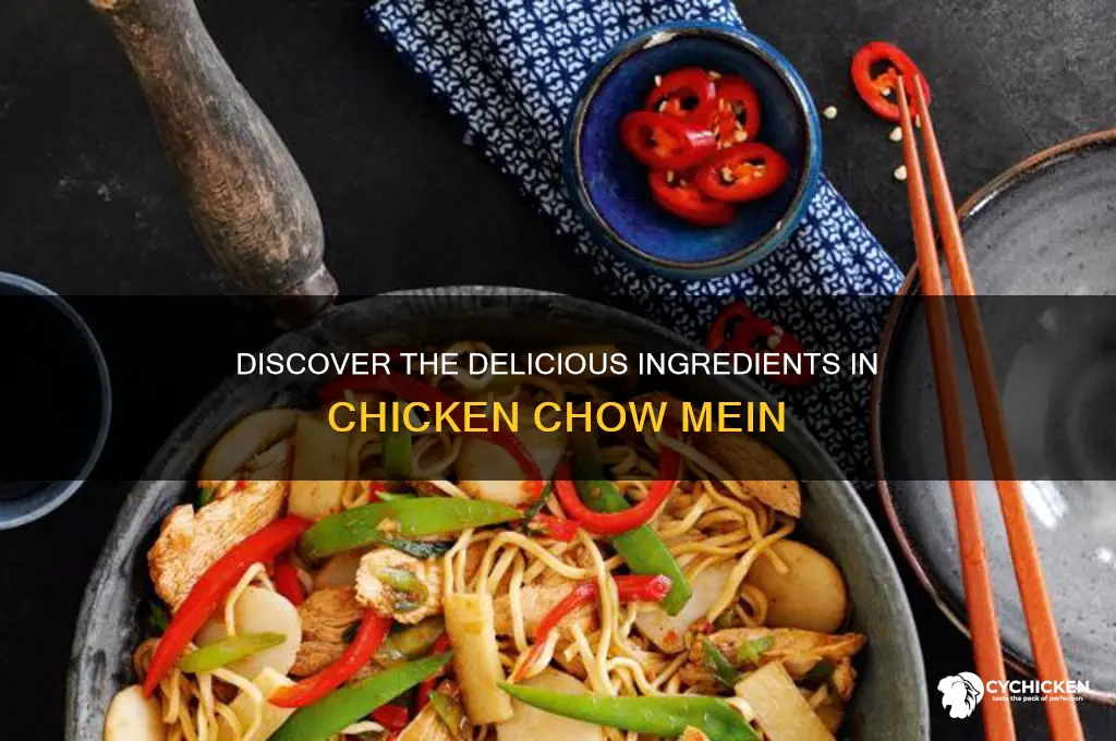 what is chicken chow mein made of