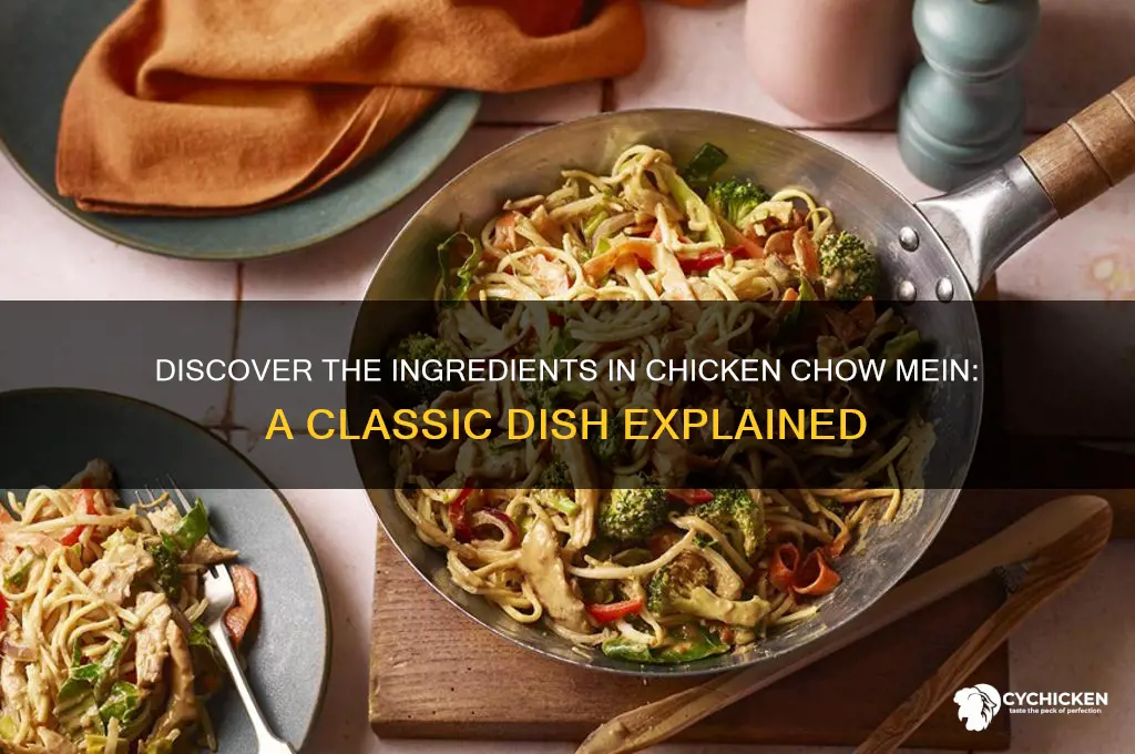what is chicken chow mein made out of