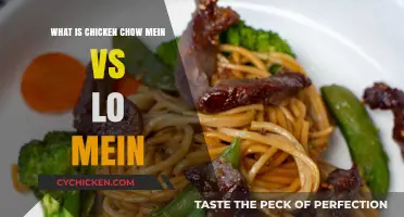 Chow Mein vs. Lo Mein: Unraveling the Noodle Differences