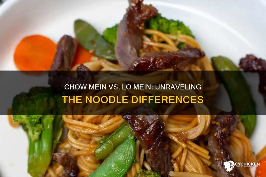 what is chicken chow mein vs lo mein