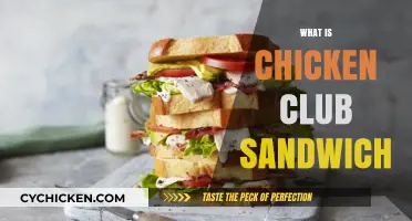 Discover the Delicious Layers of a Chicken Club Sandwich