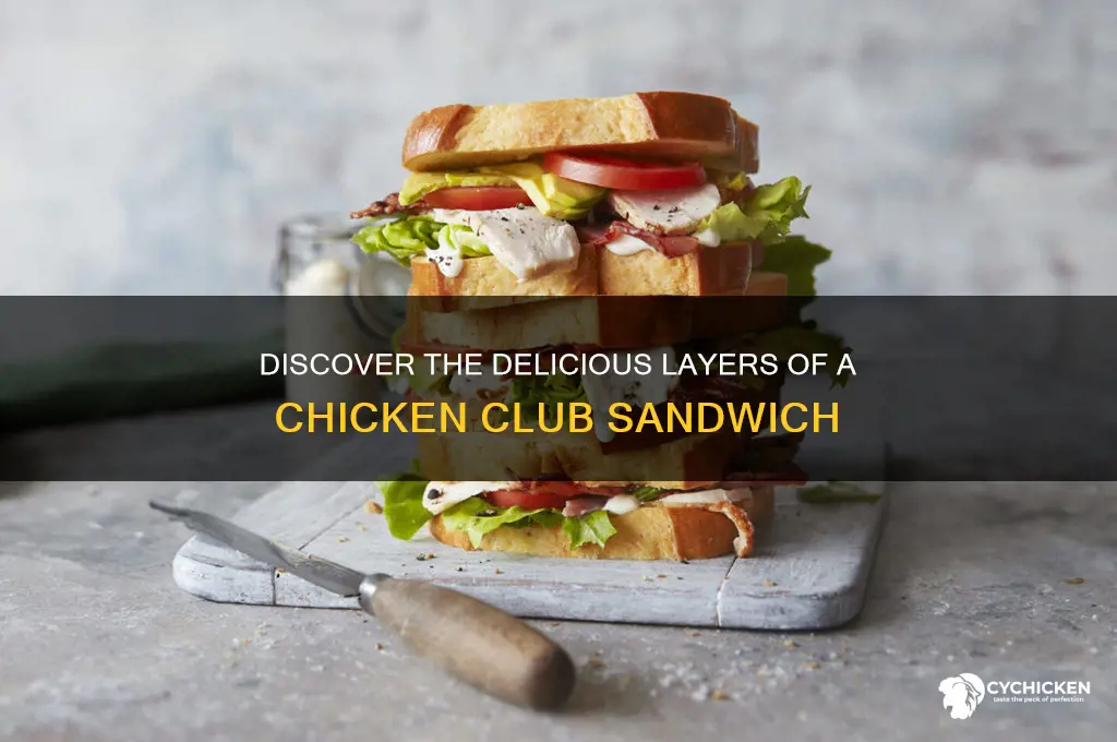what is chicken club sandwich