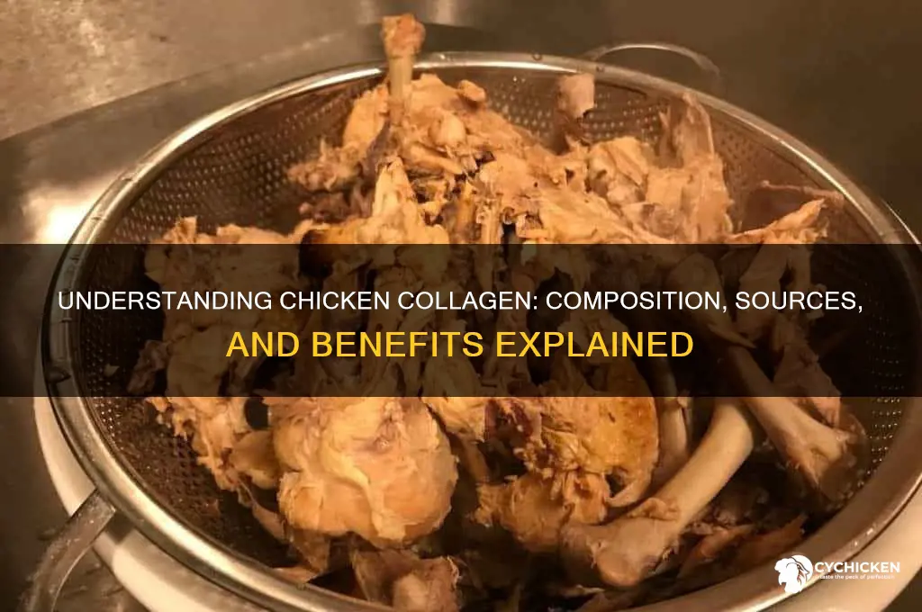 what is chicken collagen made out of