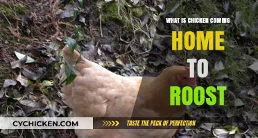 Understanding the Idiom: Chicken Coming Home to Roost Explained