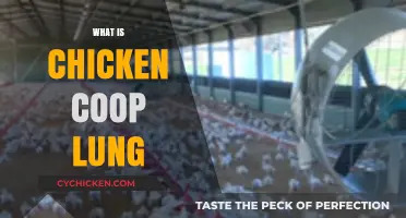 Understanding Chicken Coop Lung: Causes, Symptoms, and Prevention