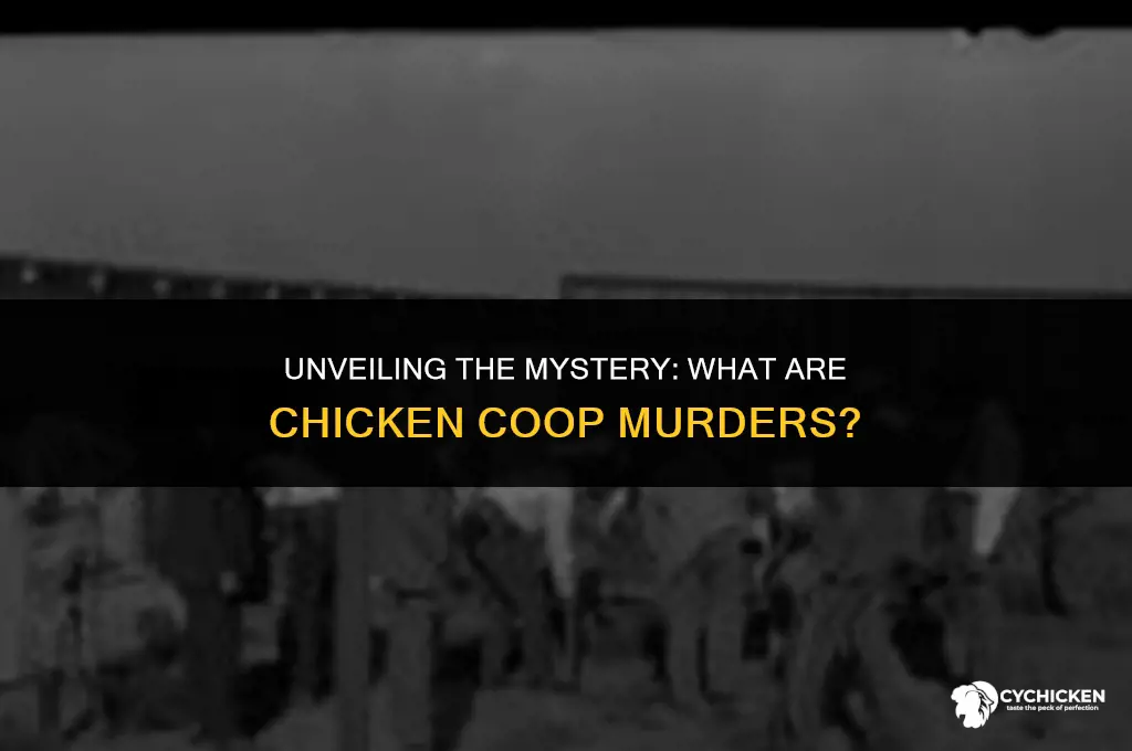what is chicken coop murders
