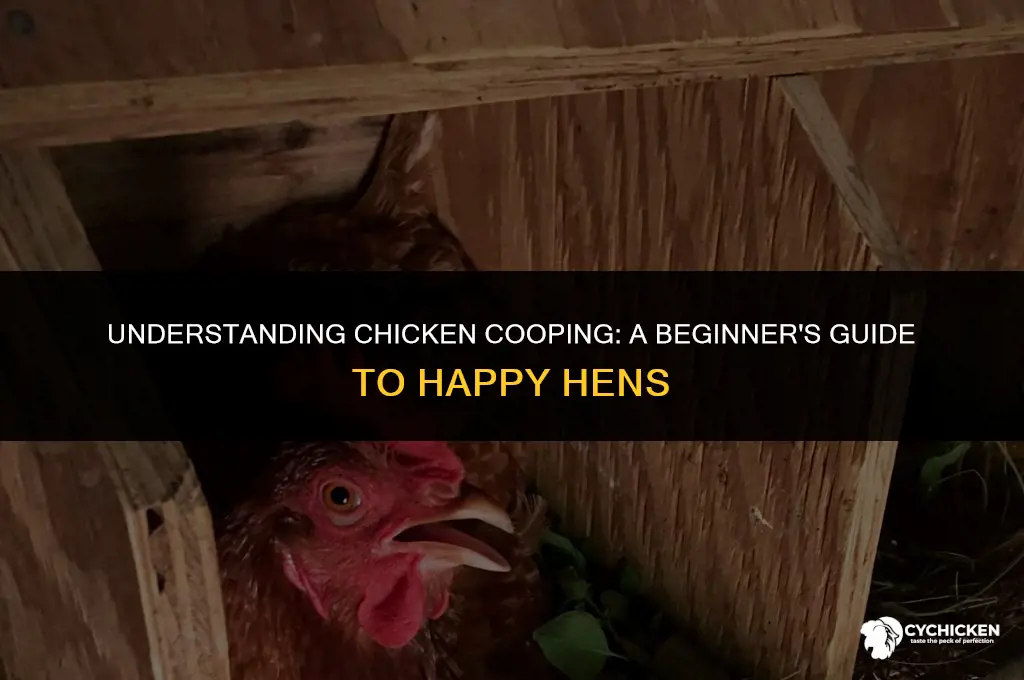 what is chicken cooping