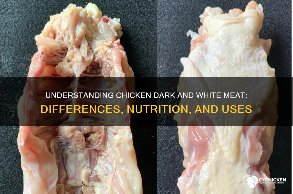 what is chicken dark and white meat
