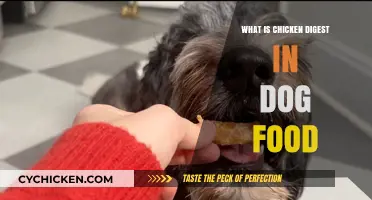Understanding Chicken Digest in Dog Food: Benefits and Uses Explained