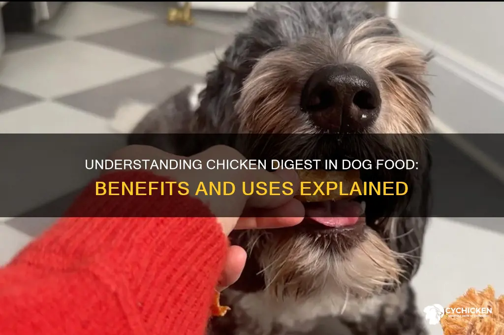 what is chicken digest in dog food