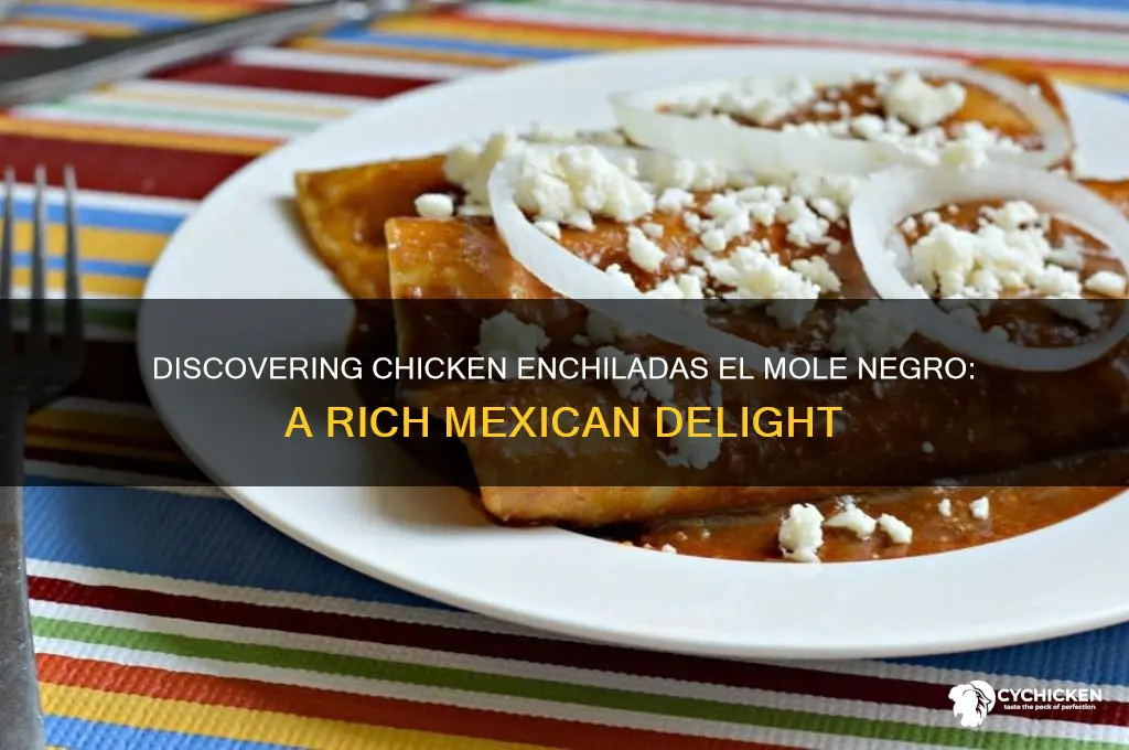 what is chicken enchiladas el mole negro