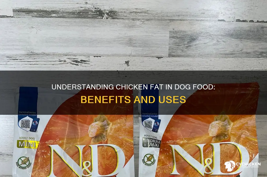 what is chicken fat in dog food