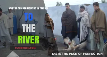 Chicken Fighting in 'Take Me to the River' Explained