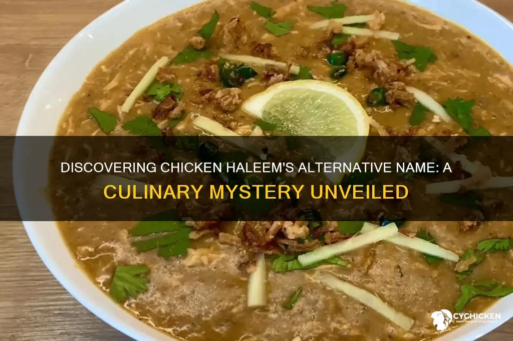 what is chicken haleem