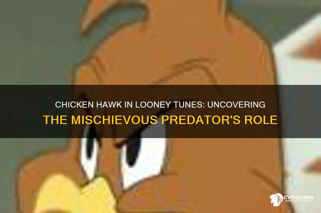 what is chicken hawk on looney tunes