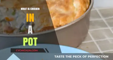 Simmering Comfort: The Art of Chicken in a Pot
