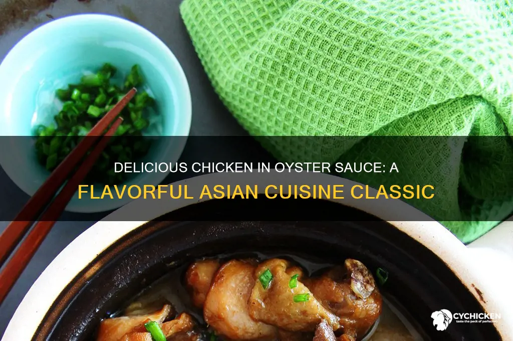 what is chicken in oyster sauce