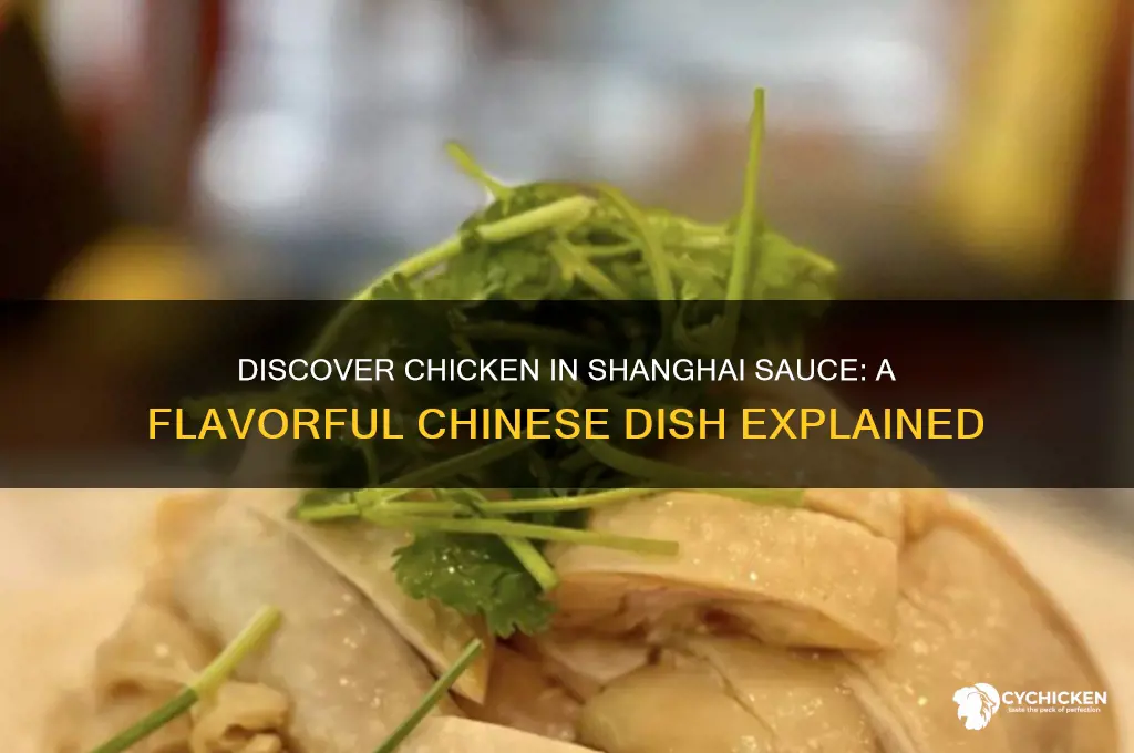what is chicken in shanghai sauce