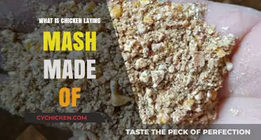Understanding Chicken Laying Mash: Ingredients and Benefits Explained