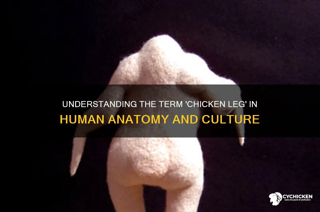 what is chicken leg in a person