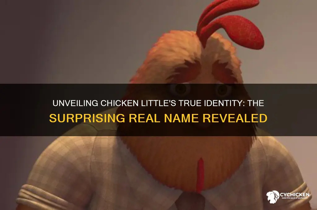 what is chicken little