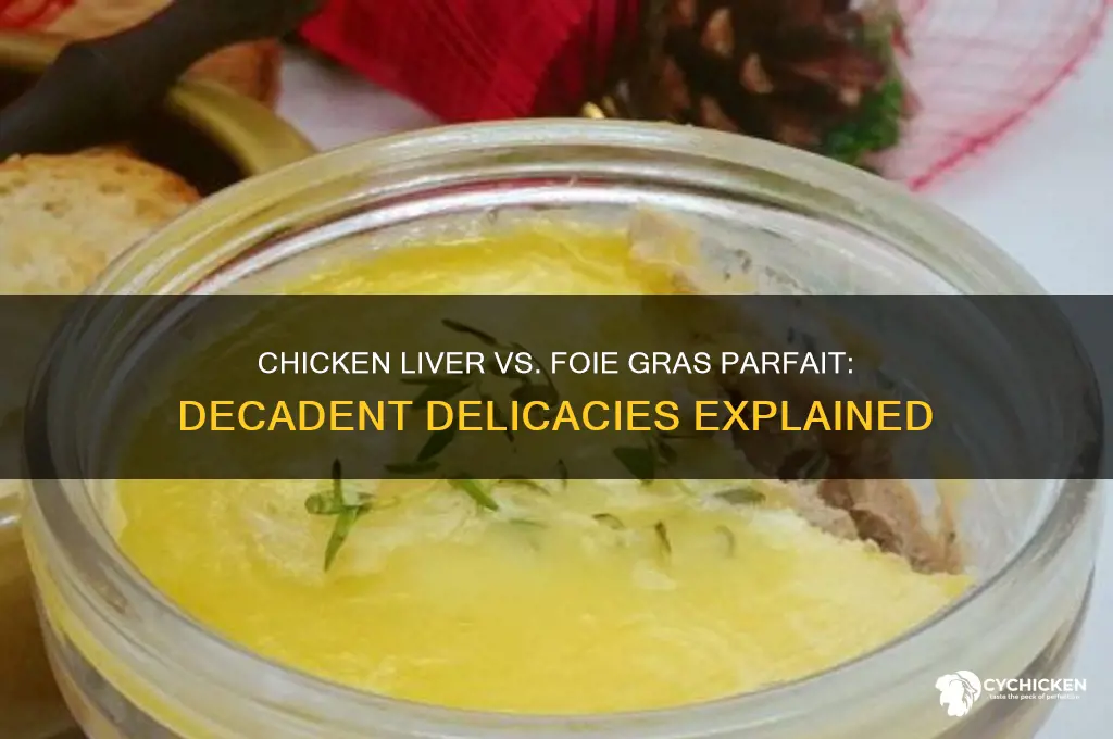 what is chicken liver and foie gras parfait