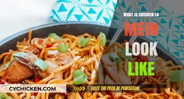 Exploring Chicken Lo Mein: Visual Guide to Its Appearance and Ingredients