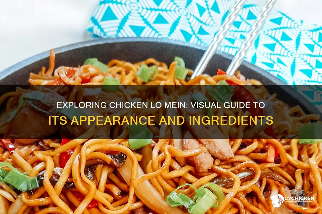 what is chicken lo mein look like