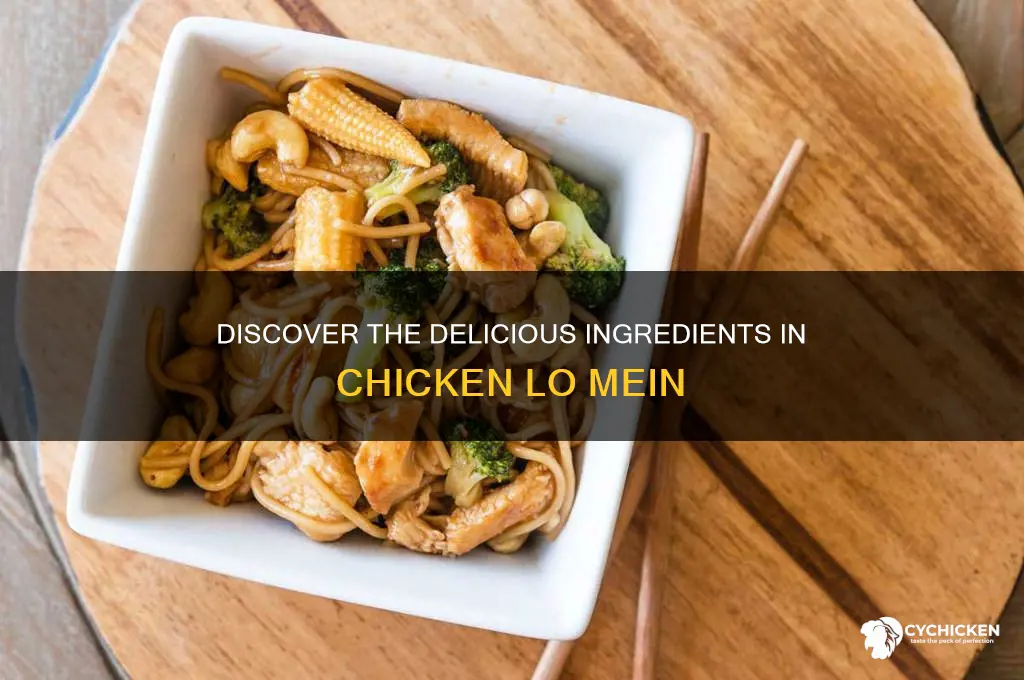 what is chicken lo mein made of