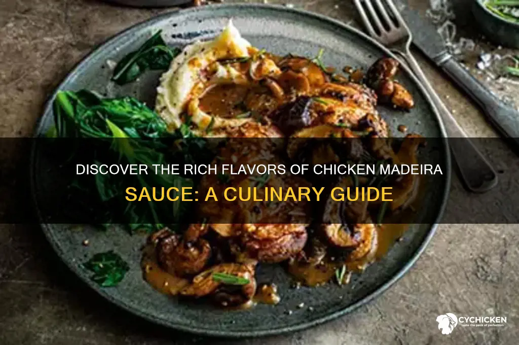 what is chicken madeira sauce