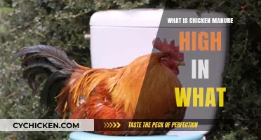 Chicken Manure Nutrient Benefits: High in Nitrogen, Phosphorus, and Potassium