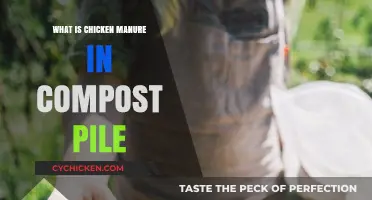 Using Chicken Manure in Compost: Benefits, Tips, and Best Practices