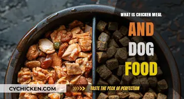 Understanding Chicken Meal in Dog Food: Benefits and Nutritional Value