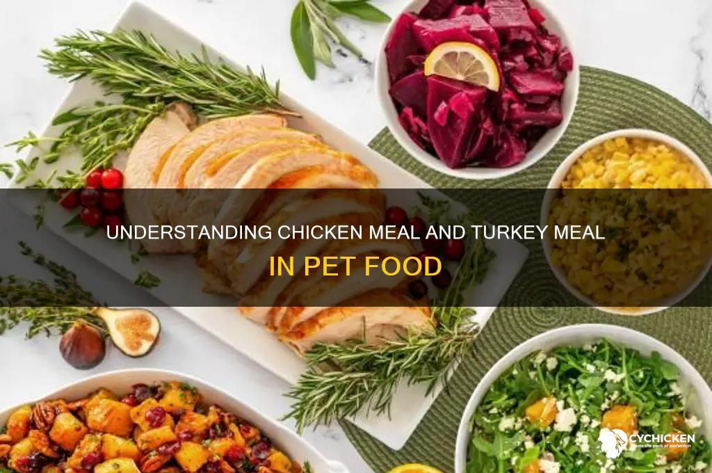 what is chicken meal and turkey meal