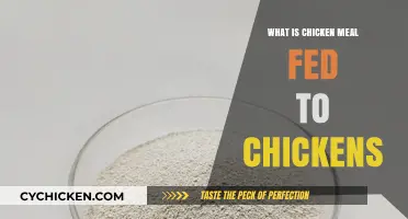 Understanding Chicken Meal: Is It a Suitable Feed for Chickens?