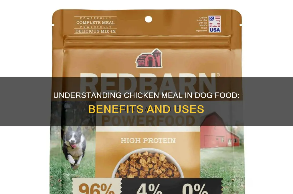 what is chicken meal found in dog food