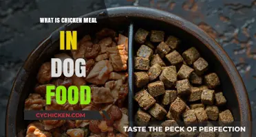 Understanding Chicken Meal in Dog Food: Benefits and Uses