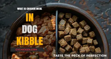 Understanding Chicken Meal in Dog Kibble: Benefits and Uses