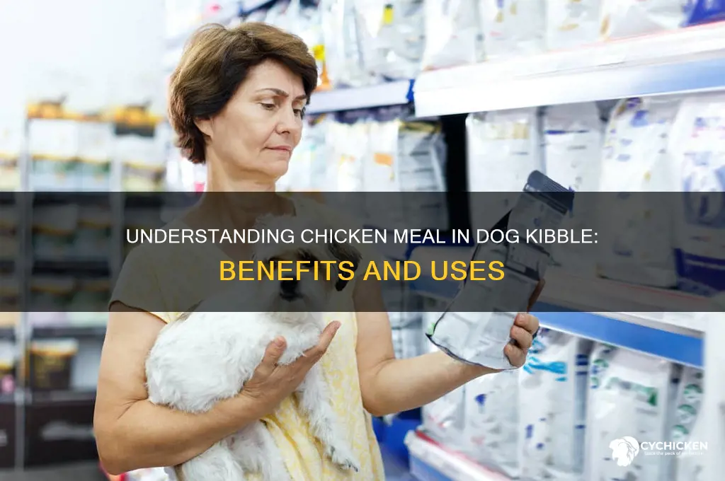 what is chicken meal in dog kibble